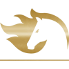 FiReLEAGUE Buenos Aires