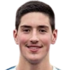 Aldin Musovic