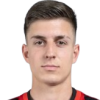 Faris Jasarevic
