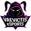 Vaevictis eSports