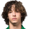Rodrigo Rego