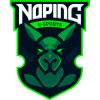 NoPing