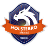 Holstebro V