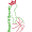 Royal IV Brussel