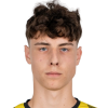 Dominik Kocan