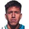 Diego Cheuquepal