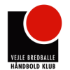 Vejle