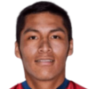 Josue Mamani