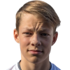 Verner-Vootele Mellis