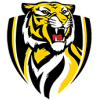 Balmain Tigers