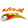 Slevik