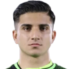 Mohammadreza Dinarvand