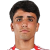 Tomas Castro da Mata Ferreira