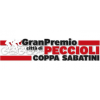 Gran Premio citta di Peccioli