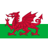 Wales U20 W