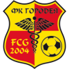 FK ゴロデハ 2