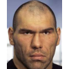 Nikolai Valuev