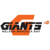 Nelson Mandela Bay Giants