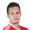 Dmitriy Vladimirov