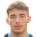 Capoferri