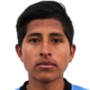 Luis Fernando Pavia Mamani