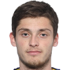 Branislav Runjajic