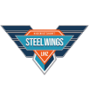 Steel Wings Linz
