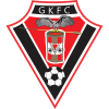 Gaviao