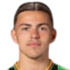 Denis Krivosic