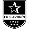 Slavonin