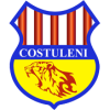 Costuleni
