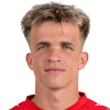 Dominik Snajder