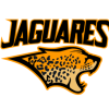 Jaguares