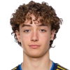 Anton Hoog