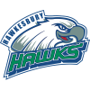 Hawkesbury Hawks
