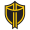 International Team logo