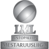 Mestaruusliiga