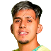 David Villa