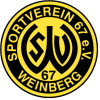 Weinberg W