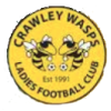 Crawley Wasps F