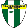 Březenecká Chomutov