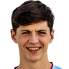 Max McGoona