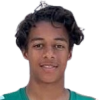 Sam Verdonk