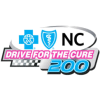 Drive for the Cure 200