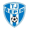 Repin