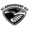FC Bergedorf 85