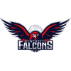 Newcastle Falcons W
