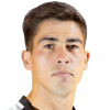 Fernando Pettineroli