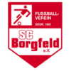 Borgfeld