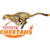 Cheetahs 2